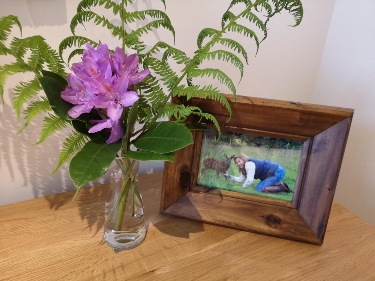 Ederline Farm Guest House Ford  Екстериор снимка